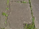 image of grave number 416187